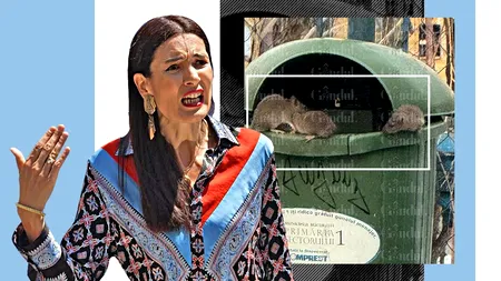 Imagini șocante în Capitală! Rezultatul acțiunilor lui Clotilde Armand împotriva Romprest: invazie de șobolani / “Doamna a redus curățenia”