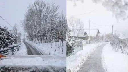 ORAȘUL din România, supranumit 