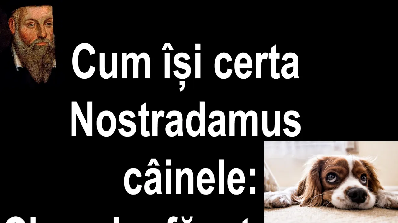 Bancul nopții | Cum își certa Nostradamus câinele