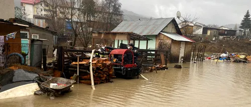 FOTO-VIDEO | Inundații puternice în 33 de localități. 17 case au fost afectate, iar nouă copaci și un stâlp au căzut pe carosabil