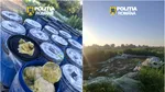 Opt tone de varză murată, descoperite în gropi săpate în pământ într-o localitate din Dâmbovița. Marfa va fi distrusă