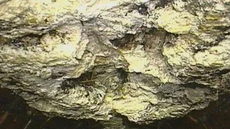 Coșmarul din canalizare. Ce au găsit muncitorii în canalele din Londra i-a îngrozit. 