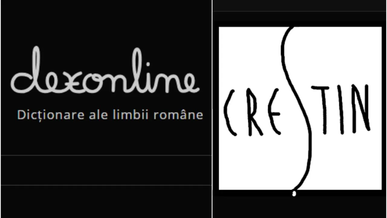 Dexonline a generat o adevărată controversă. Cuvântul zilei: 