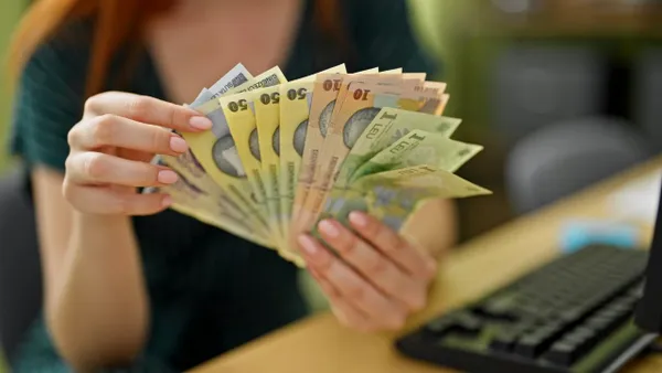 INS: Veniturile gospodăriilor au crescut cu 13,6% în 2025, dar cheltuielile au reprezentat 85,5% din total. Pe ce dau românii cei mai mulți bani lunar
