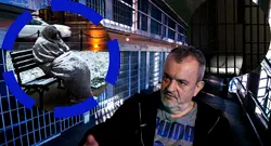 Devenit om al străzii, criminalul Marian Clită a fost primit înapoi la pușcărie. Ucigașul disidentului Gheorghe Ursu a rugat instanța să-i dea adăpost