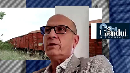 EXCLUSIV VIDEO | În Sectorul 1, ca-n Evul Mediu. Viceprimar, despre haosul din Chitila Triaj: „Este o enclavă acolo. CFR trebuie să ne ajute”