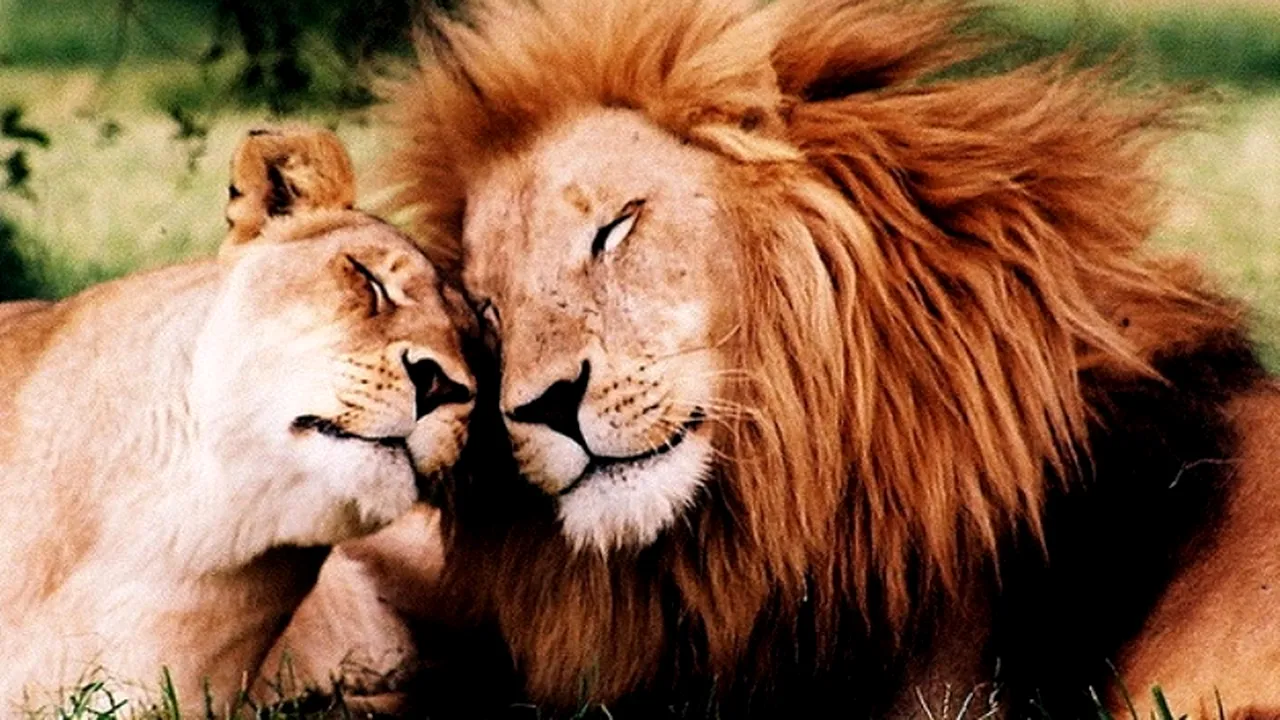 VIDEO. Cele mai frumoase descoperiri ale oamenilor de știință de-a lungul timpului