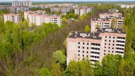 Terenurile de la Cernobîl ar putea fi utilizate din nou pentru AGRICULTURĂ. Ce au descoperit cercetătorii lângă fosta centrală nucleară
