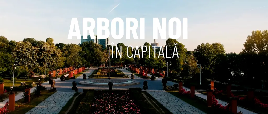 VIDEO Arbori noi în Capitală (REPORTAJ)