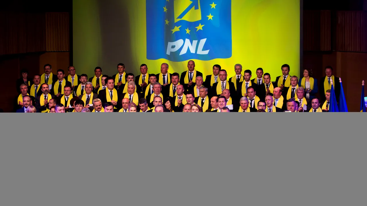 PNL merge singur la parlamentare: Suntem un partid cu blazon, putem câștiga fără alianțe