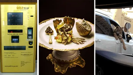 Cele 18 lucruri bizare care sunt posibile numai în Dubai. Automatul cu lingouri de aur, prăjitura de 1.000 dolari și animalele sălbatice de companie