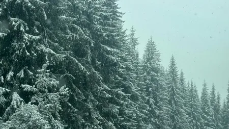 După un weekend cu temperaturi de primăvară, ploile și ninsorile revin în țară. Elena Mateescu, director ANM, ne spune cum va fi vremea