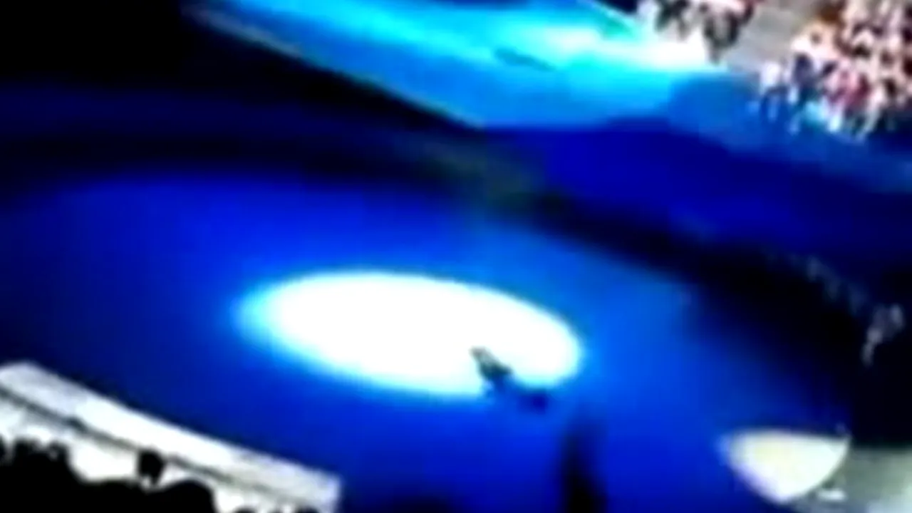 VIDEO. Accident în timpul unui spectacol de circ din Moscova. Ce a pățit acrobatul 