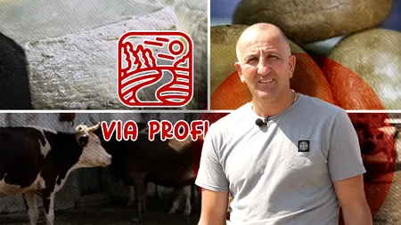 BRÂNZETURILE lui Cristinel Solomon, după rețete ajunse la a treia generație, au la bază lapte proaspăt de la văcuțe și oi crescute în libertate