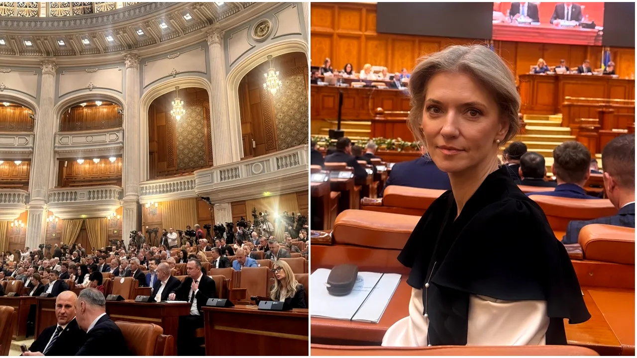 Alina Gorghiu: „Veți vedea azi cum arată bucuria nebunilor în plin blocaj politic”
