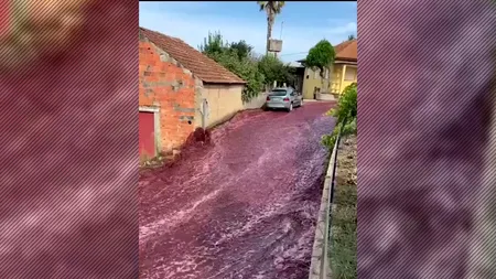 VIDEO | Oraș din Portugalia, invadat de un râu de culoare roșie după ce din două rezervoare s-au vărsat, din greșeală, milioane de litri de vin