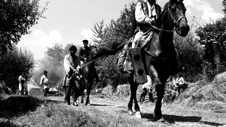 Topul 10 filme românești cu cele mai mari încasări în 2015
