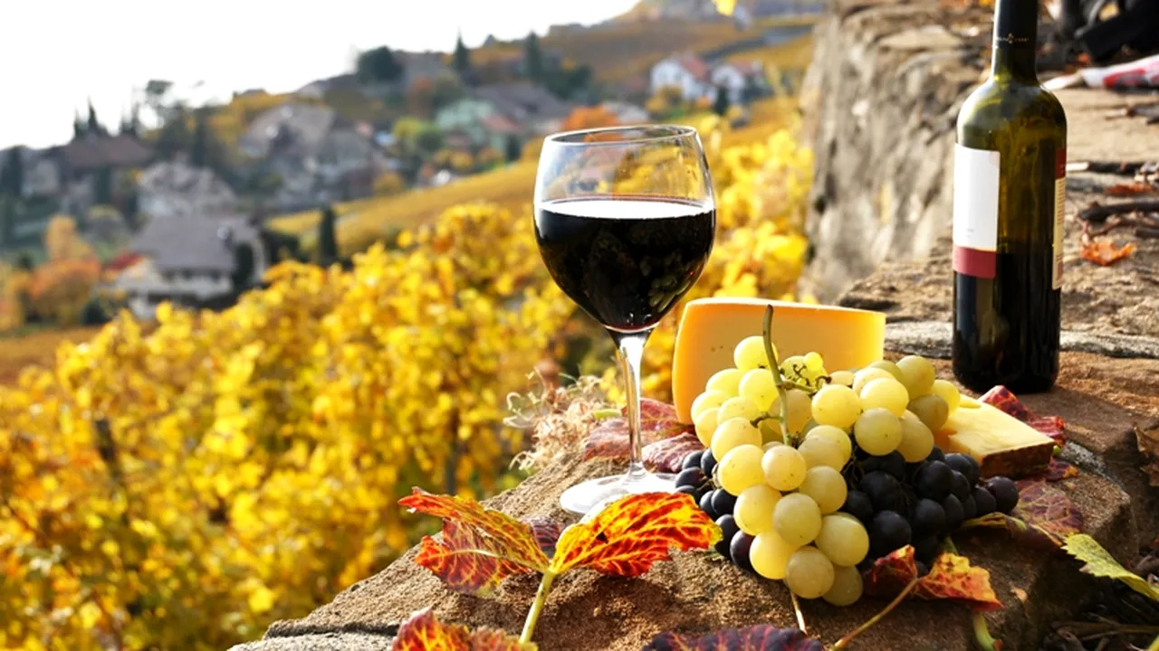 20% din culturile de struguri distruse de ploaie, susțin producătorii arădeni de vinuri