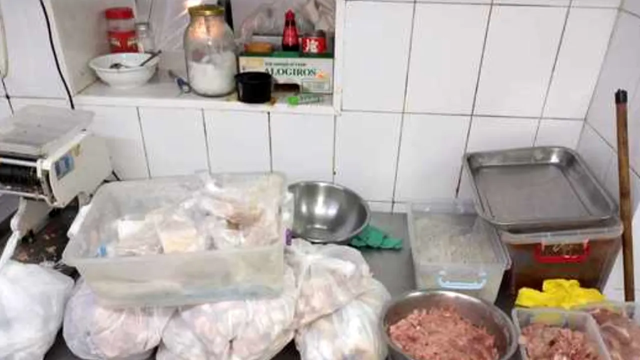 Restaurantul “Templul Soarelui” din Bucureşti, închis după ce ANPC a descoperit mai multe nereguli: Gândacii sunt împărţiţi pe soiuri de carne?