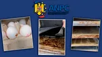 Controale ANPC înainte de Paște: mii de sancțiuni și nereguli descoperite la comercianți