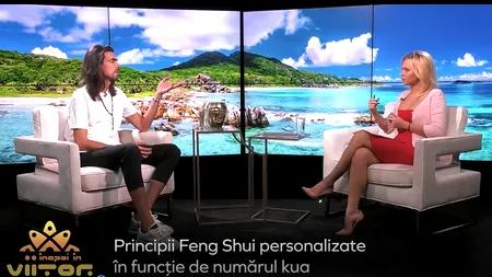 VIDEO | Emilio Ghaman, la „Înapoi în viitor cu Andreea Perminova”: Trucuri Feng Shui pentru amenajarea biroului, acasă sau la birou