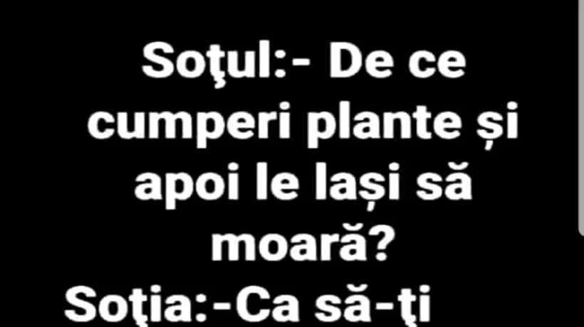 BANCUL zilei | Soțul către soție: „De ce cumperi plante și apoi le lași să moară?