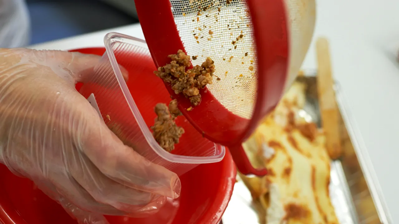 Scandalul cărnii de cal ajunge și în Italia. Tone de carne tocată au fost puse sub sechestru