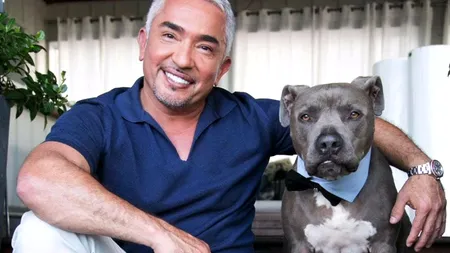 Cesar Millan, cel mai iubit dresor din lume, vine la București 