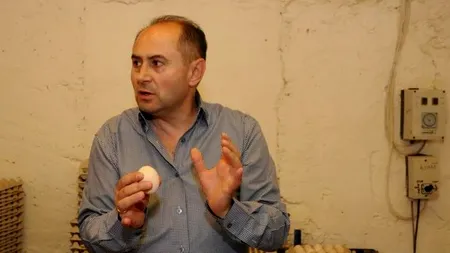 O stație de incubație din Vaslui, motivul scandalului în dosarul „Rețeaua Bogos”, în care a fost audiat și Bolojan. Ar fi generat circa 10 milioane de euro anual, bani negri