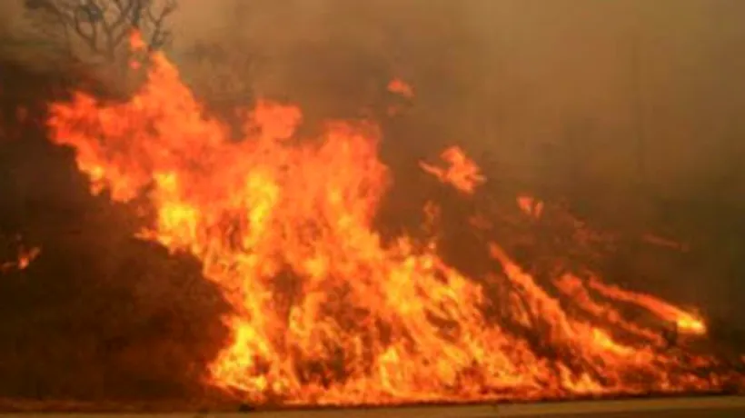 Sute de persoane au fost evacuate din cauza incendiilor forestiere în nord-estul Spaniei