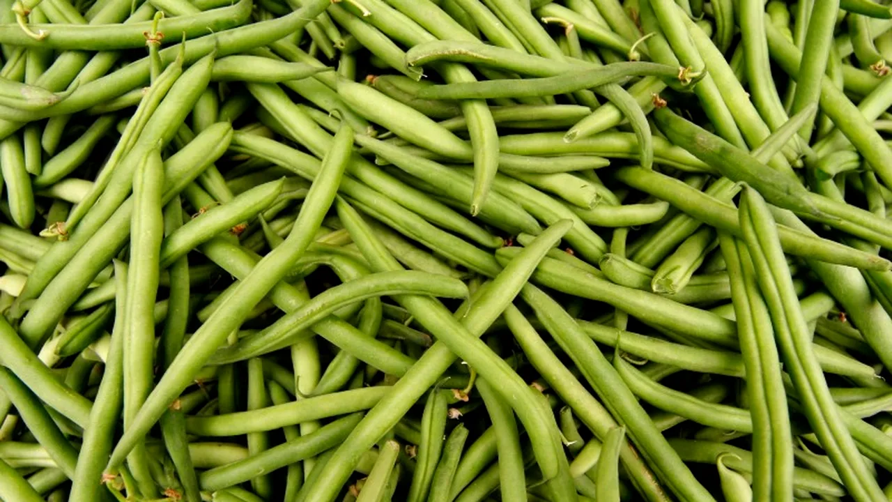 Efectele benefice neștiute ale ceaiului de teci de fasole