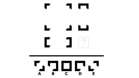 Test IQ MENSA | Alege imaginea care lipsește!