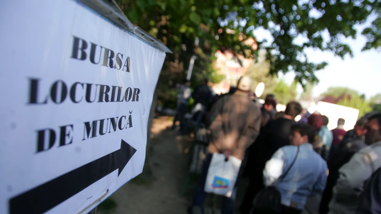 Peste 8.900 de LOCURI DE MUNCĂ VACANTE, în perioada 13 - 19 septembrie. Județele cu cele mai multe oferte