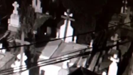 Două persoane au fost surprinse de camerele de supraveghere, în timp ce furau flori dintr-un cimitir din Răcari