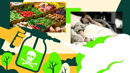 Legume și fructe pline de chimicale: Au fost depistate niveluri de pesticide care depășesc limita admisă de UE