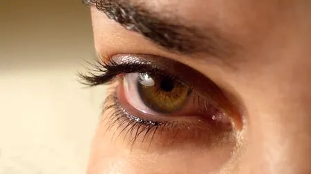 STUDIU. Vedem lucrurile diferit, la propriu. Creierul bărbaților procesează culorile altfel decât cel al femeilor