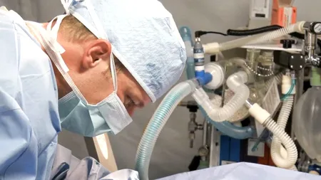 MĂRTURIE. Medic rezident, dat afară din apartamentul în care locuia cu chirie: „Mi-a spus că a început lupta pentru supraviețuire”