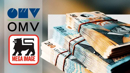 ANALIZĂ | Ce câștiguri au avut cele mai mari companii cu capital străin. Câți bani au adus în România și câți au scos