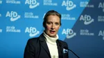 Extrema dreaptă din Germania, în centrul unui scandal major de scuritate europeană. AfD, acuzată că ar putea divulga documente secrete către Kremlin