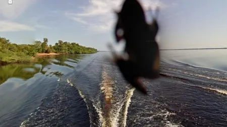 Imagini inedite surprinse de serviciul Google Street View. GALERIE FOTO