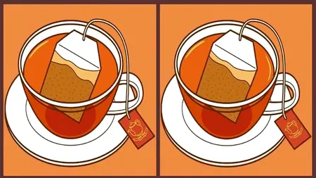Test de perspicacitate | 3 diferențe în 11 secunde. Le puteți găsi?