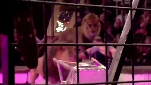 Imagini ȘOCANTE: Un dresor a fost ATACAT de un leu în timpul spectacolului