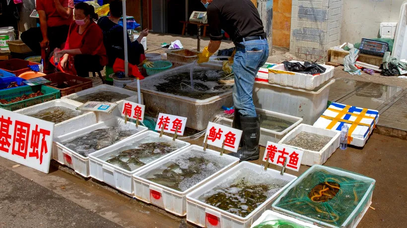 Alertă în China: A fost descoperită o bacterie care cauzează holeră, într-o piață din Wuhan / Cine este pacientul „zero”