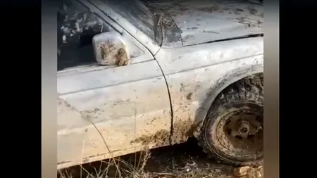 VIDEO | Hoți de lemne din Argeș, opriți cu focuri de armă