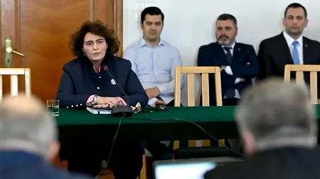 Cum s-au folosit mafioții ucraineni de numele unei judecătoare CCR pentru a fura o firmă din România. Ce spune Iuliana Scântei
