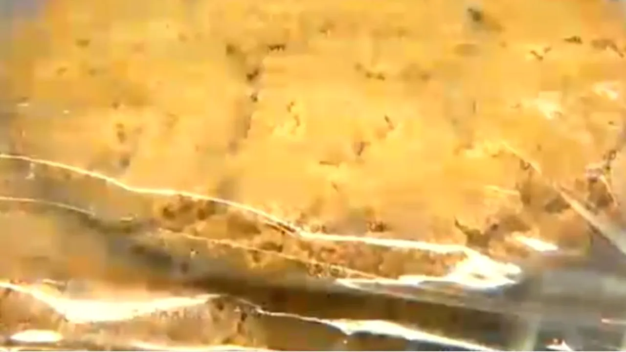 Un tânăr a murit după ce a consumat o prăjitură cu marijuana