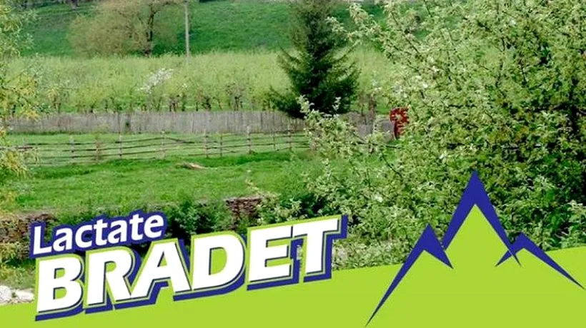 Lactate Brădet, propunere inedită: Haideți să ne unim forțele cu toții și chiar să facem o companie a românilor de care să fie mândru fiecare