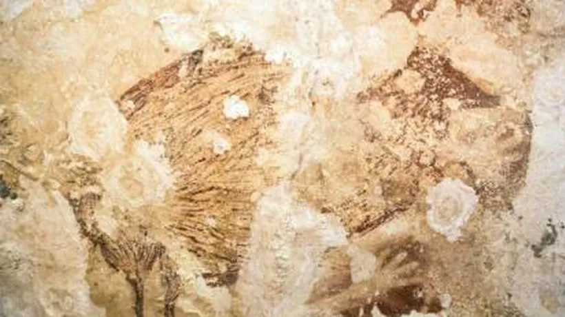 Picturi vechi de 40.000 de ani, descoperite în Indonezia