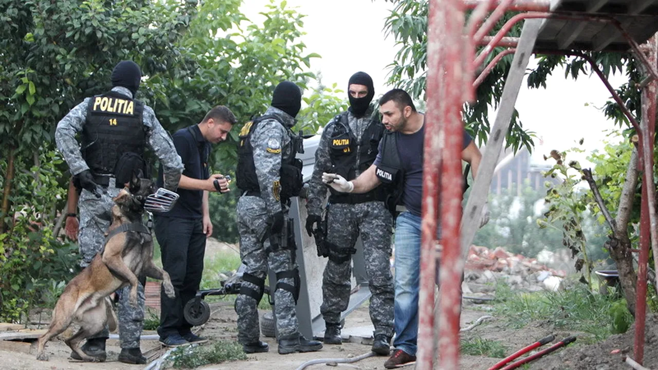 Mii de monede, fragmente ceramice și vârfuri de sulițe de metal ridicate după perchezițiile din Timiș