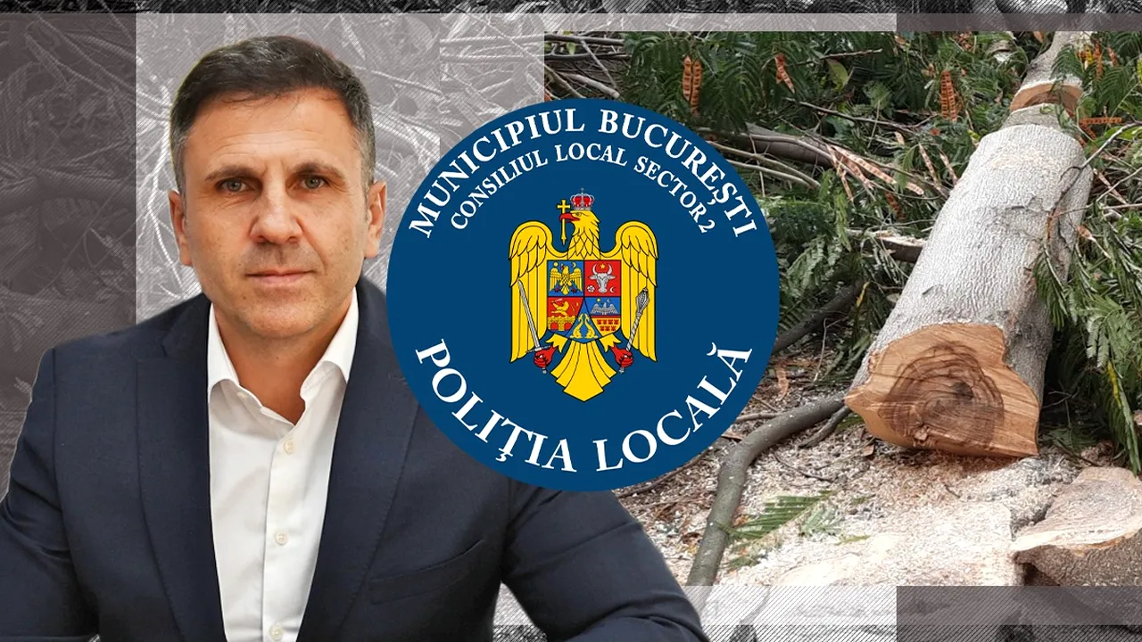 „Toaletare” à la Poliția Locală S2! Directorul general Angheluș a DEFRIȘAT copacii din curte, fără aviz de la Mediu. „A făcut și chetă pentru amendă!”